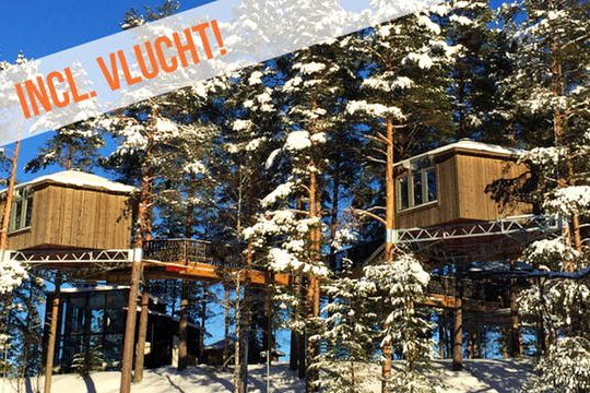 Dagaanbieding Noorderlicht & boomhut -  Zweden