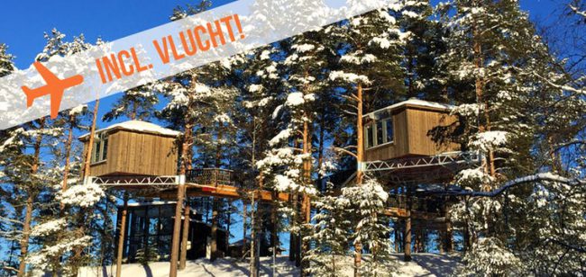 Dagaanbieding Noorderlicht & boomhut -  Zweden