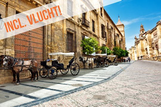 Dagaanbieding Rondreis Andalusië -