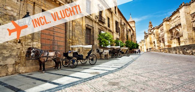 Dagaanbieding Rondreis Andalusië Dagaanbieding Rondreis Andalusië -