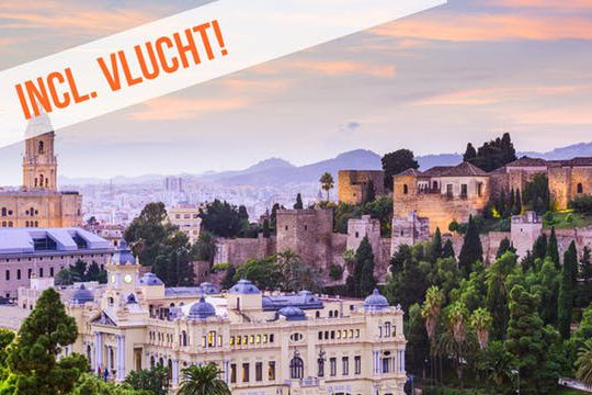 Dagaanbieding Sevilla en Málaga -