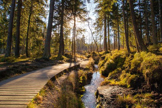 Dagaanbieding Wandelen in de Harz - Goslar Hahnenklee Duitsland
