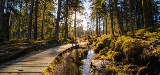Dagaanbieding Wandelen in de Harz - Goslar Hahnenklee Duitsland
