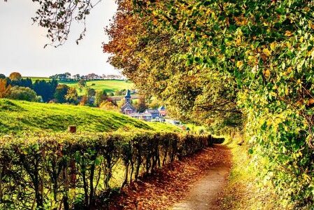 Dagaanbieding 3 dagen in 4*-hotel tussen de heuvels van Zuid-Limburg nabij Valkenburg incl. wilddiner en herfstwandeling