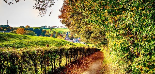 Dagaanbieding 3 dagen in 4*-hotel tussen de heuvels van Zuid-Limburg nabij Valkenburg incl. wilddiner en herfstwandeling