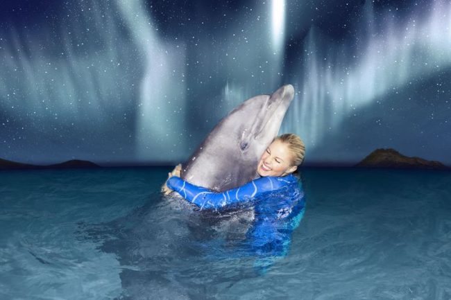 Dagaanbieding Een dag naar Winterdolfinarium in Harderwijk (2 p.) Dagaanbieding Een dag naar Winterdolfinarium in Harderwijk (2 p.)