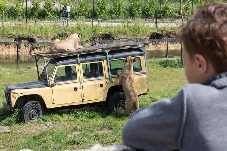 Dagaanbieding Op avontuur tussen de dieren in ZooParc Overloon (2 p.)