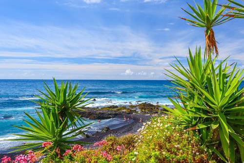 Dagaanbieding - Canarische Eilanden voor 609.00