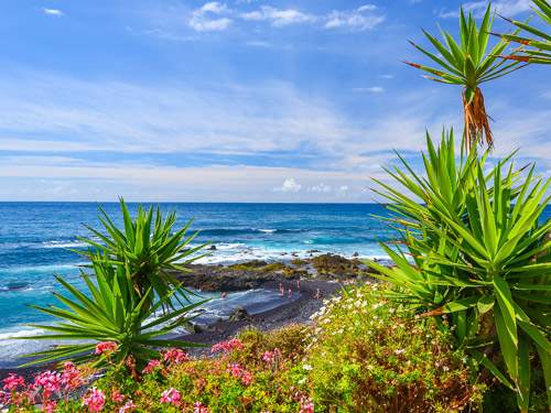 Dagaanbieding - Canarische Eilanden voor 609.00