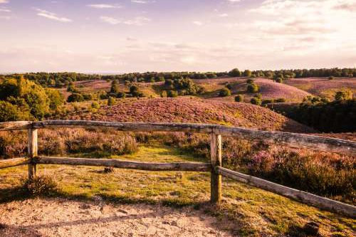 Dagaanbieding - De prachtige Veluwe voor 49.00