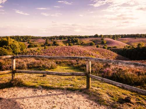 Dagaanbieding - De prachtige Veluwe voor 49.00