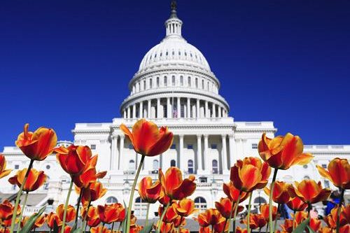 Dagaanbieding - Historisch Amerika voor 999.00