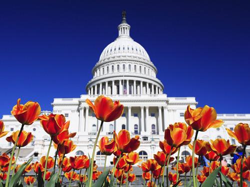 Dagaanbieding - Historisch Amerika voor 999.00