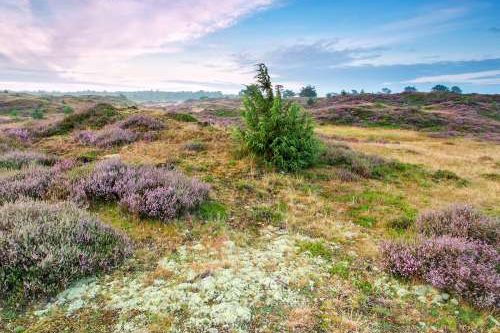 Dagaanbieding - Drenthe voor 89.00