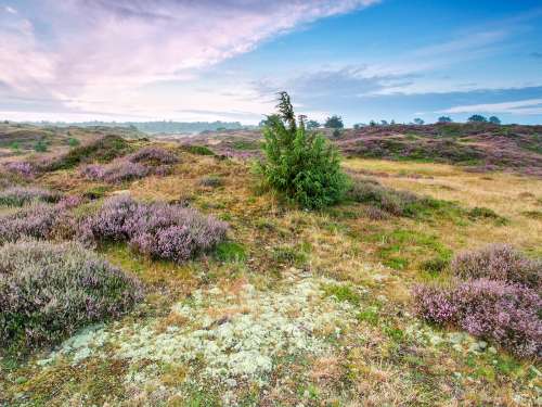 Dagaanbieding - Drenthe voor 89.00