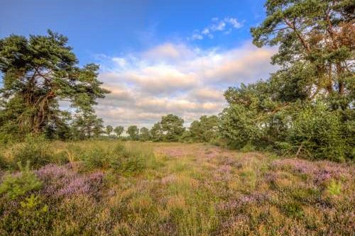 Dagaanbieding - Twents Hengelo voor 29.00