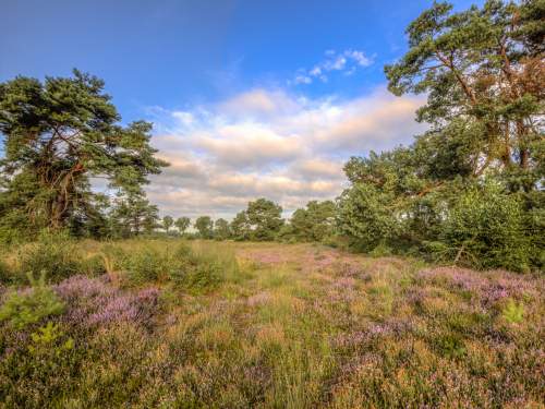 Dagaanbieding Twents Hengelo Dagaanbieding - Twents Hengelo voor 29.00