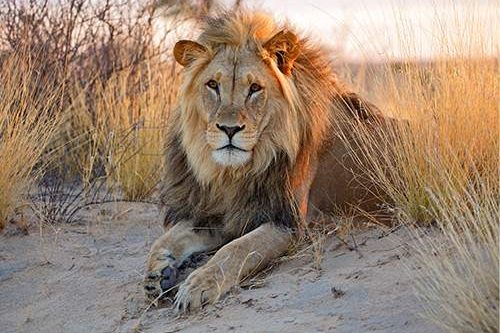 Dagaanbieding - Zuid Afrika voor 2129.00