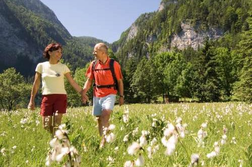 Dagaanbieding - Duitse Harz voor 119.00