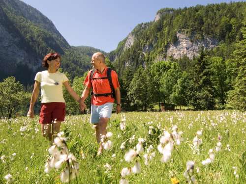 Dagaanbieding - Duitse Harz voor 119.00