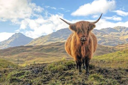 Dagaanbieding - Schotland voor 634.00