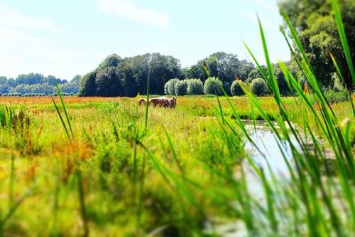 Dagaanbieding - Noord-Brabant voor 39.00