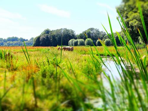 Dagaanbieding - Noord-Brabant voor 39.00