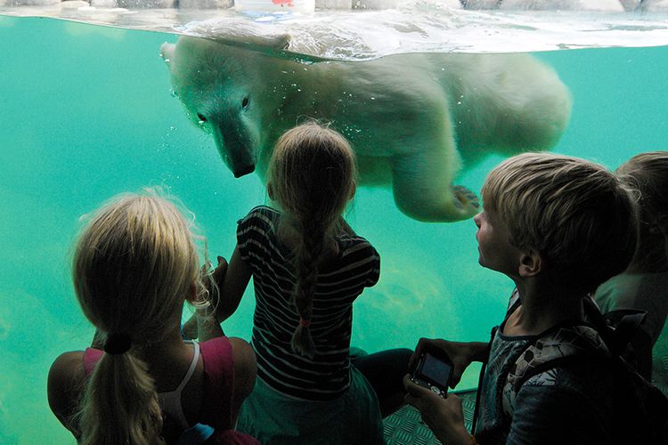 Dagaanbieding Tickets voor WILDLANDS in Emmen (2 p.)