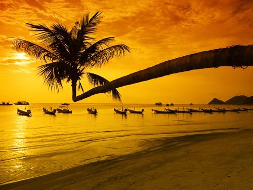 Dagaanbieding - Thailand voor 1122.00