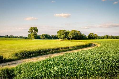 Dagaanbieding - Twente voor 75.00