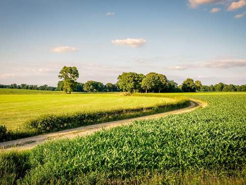 Dagaanbieding - Twente voor 75.00