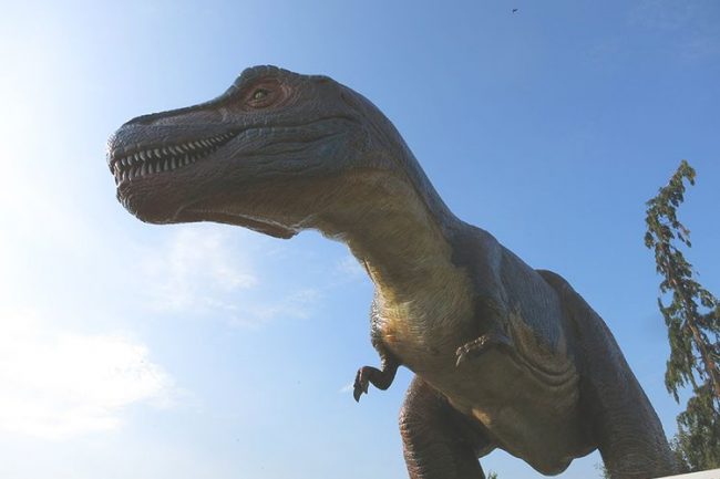 Dagaanbieding All-inclusive dagje weg in DinoPark Tenaxx (2 p.) Dagaanbieding All-inclusive dagje weg in DinoPark Tenaxx (2 p.)