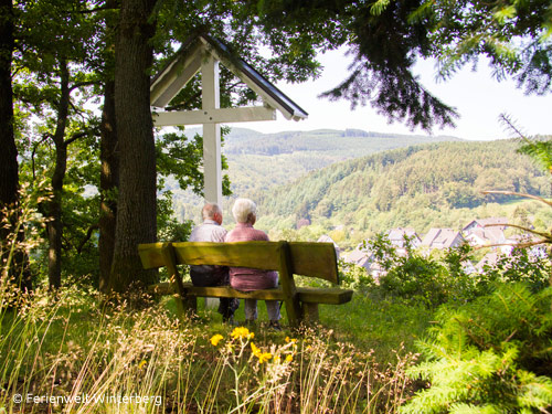 Dagaanbieding - Winterberg voor 49.00