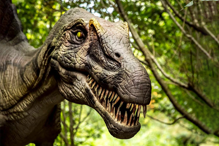 Dagaanbieding All-inclusive dagje weg DinoPark Tenaxx (2 p.)