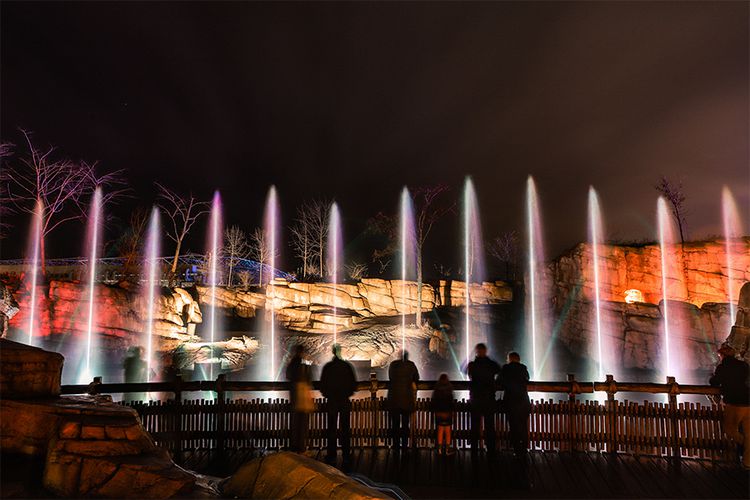 Dagaanbieding Tickets voor WILDnights in WILDLANDS in Emmen (2 p.)