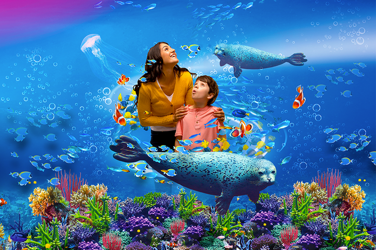 Dagaanbieding Tickets voor SEA LIFE in Blankenberge