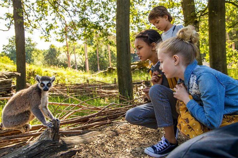 Dagaanbieding Kijkje achter de schermen bij DierenPark Amersfoort