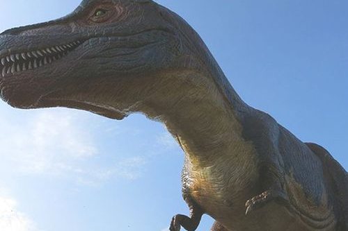 Dagaanbieding Tickets voor Familiepark Landgoed Tenaxx (2 p.)