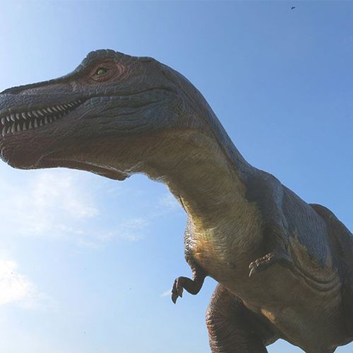 Dagaanbieding Tickets voor Familiepark Landgoed Tenaxx (2 p.) Dagaanbieding Tickets voor Familiepark Landgoed Tenaxx (2 p.)