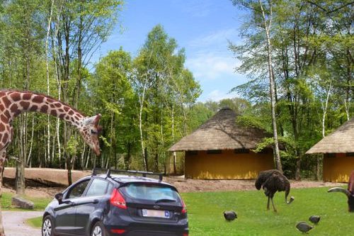 Dagaanbieding Safaripark Monde Sauvage