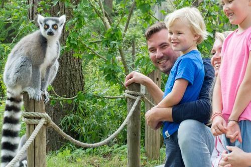 Dagaanbieding Tickets voor Apenheul (2 p.)