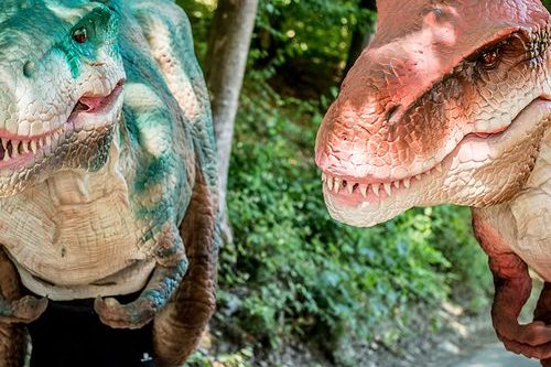 Dagaanbieding Plopsa Coo