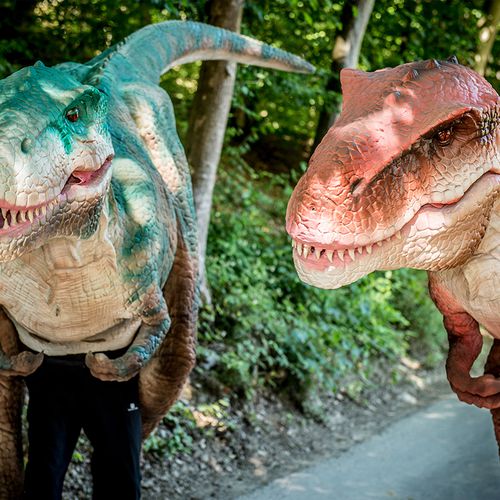 Dagaanbieding Plopsa Coo