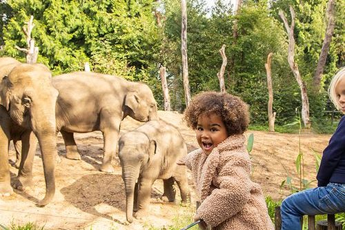 Dagaanbieding DierenPark Amersfoort
