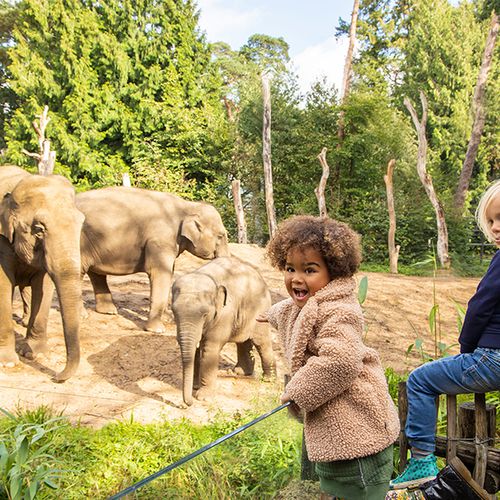 Dagaanbieding DierenPark Amersfoort Dagaanbieding DierenPark Amersfoort