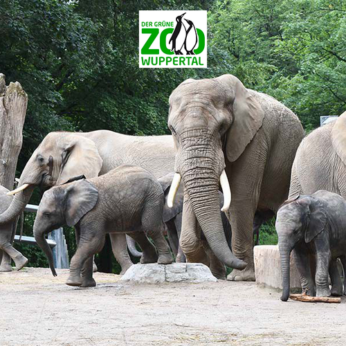 Dagaanbieding Tickets voor Der Grüne Zoo (2 p.) Dagaanbieding Tickets voor Der Grüne Zoo (2 p.)