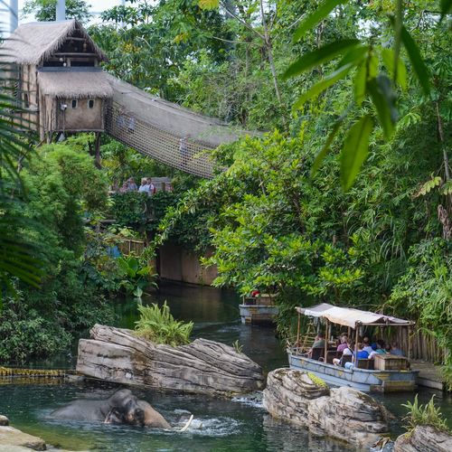 Dagaanbieding Op wereldreis in WILDLANDS Emmen (2 p.) Dagaanbieding Op wereldreis in WILDLANDS Emmen (2 p.)