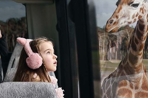 Dagaanbieding Safaripark Beekse Bergen tickets