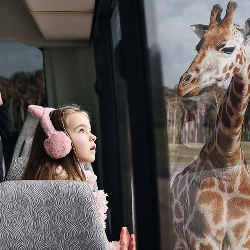 Dagaanbieding Safaripark Beekse Bergen tickets Dagaanbieding Safaripark Beekse Bergen tickets