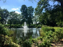 Dagaanbieding 3 dagen Veluwe incl. diner